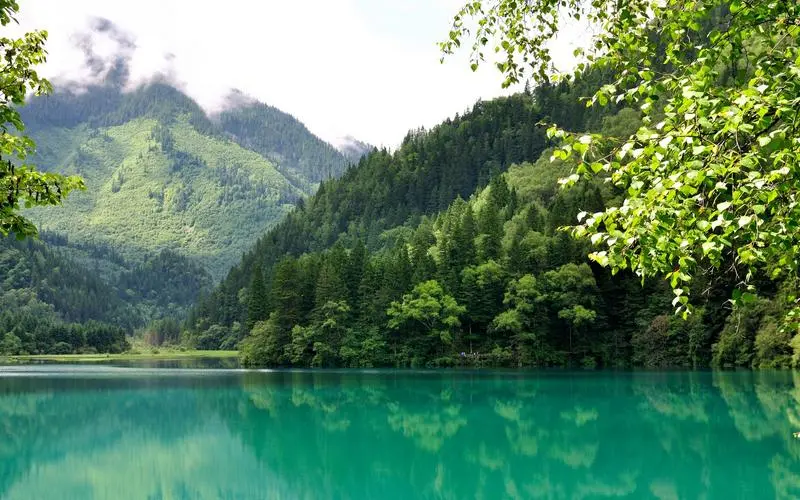 高效高端智能